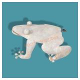 Metal Frog 13"x14"