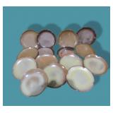 Frankoma Pottery Bread Plates