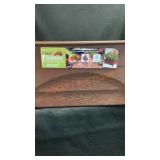 Patio Pickers Self Watering Raised Bed Grow Box -