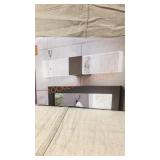 Allen and Roth Vanity Light