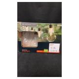 13.99ft String Lights