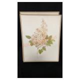 20"x16" 3pc Wall Art