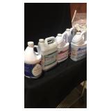 12 Bottle Lot of Cleaning Chemicals