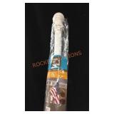 Rain or Shine Metal Flag Pole