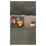 Allen&Roth Mushroom Lights