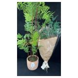 Global Caravan Potted Plant 52"