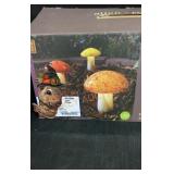 Allen+roth 3 Solar Mushroom Lights