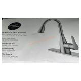 Project Source Pull-Down Kitchen Faucet