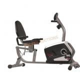 Sunny Recumbent Bike