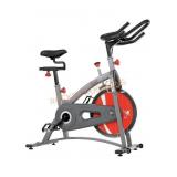 Sunny Drive Indoor Cycle Bike