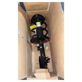 Rear Strut Assembly Kit