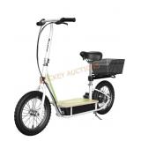 Razor Electric Scooter