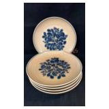 5 Pfaltzgraff 10"Plates