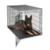 MidWest Dog Crate for XL Dogs