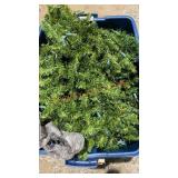 Tote Of Artificial Greens & Lights