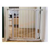 Balance Safety Gate