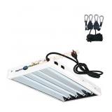 20in 4 Tube T5 Fixture W/L AMPS 24