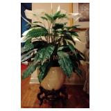 Peace Lily W/stand