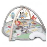 Baby Play Gym
