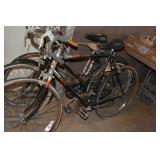 Destiny 10 Speed Bicycle