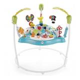 FisherPrice Jumperoo