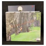 4 Stretch Canvas Prints 20"x 24"