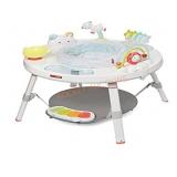 Baby Activity Center