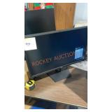 Dell 25" Monitor