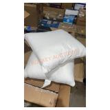 2ct 22" Pillows