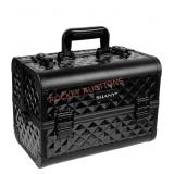 SHANY MakeUp Case