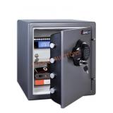 Sentrysafe Safe