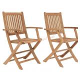 Amazonia folding armchair