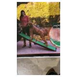 PetGear Pet Ramp
