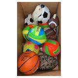 Sports Balls Box Lot