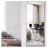 Neutypechic Full Length Mirror 65"x22"