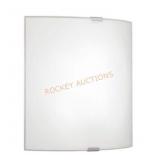 2ct. Satin Glass Shade-2x