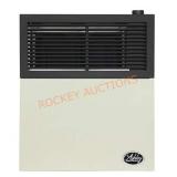 Ashley direct vent wall heater