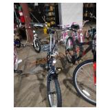 Schwinn 20in Hinge Bike