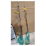 Pair of Lapine cherry trees