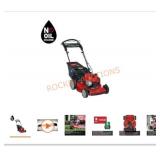Toro Recycler 22 in. Briggs & Stratton SmartStow