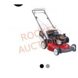 Toro Recycler 21 in. Briggs and Stratton Low