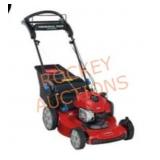 Toro Recycler 22 in. Briggs & Stratton lawnmower