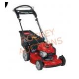 Toro Recycler 22 in. Briggs & Stratton lawnmower