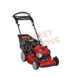 Toro Recycler 22 in. Briggs & Stratton lawnmower