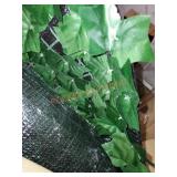 Ivy privacy fencing- unknown dimensions