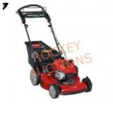 Toro Recycler 22 in. Briggs & Stratton lawnmower
