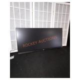 LG 29in UltraWide Monitor