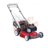 Toro Recycler 21 in. Push Lawn Mower