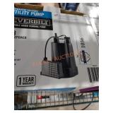 Everbilt utility pump