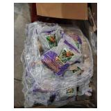 Skid Rain forest Mexico Beach pebbles